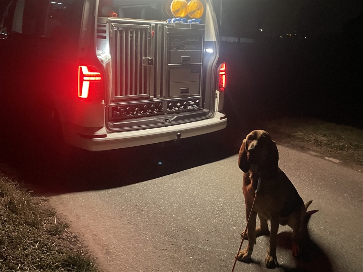Nachtaufnahme des Personenspürhundes Tyra. Dahinter ein Polizeiauto.