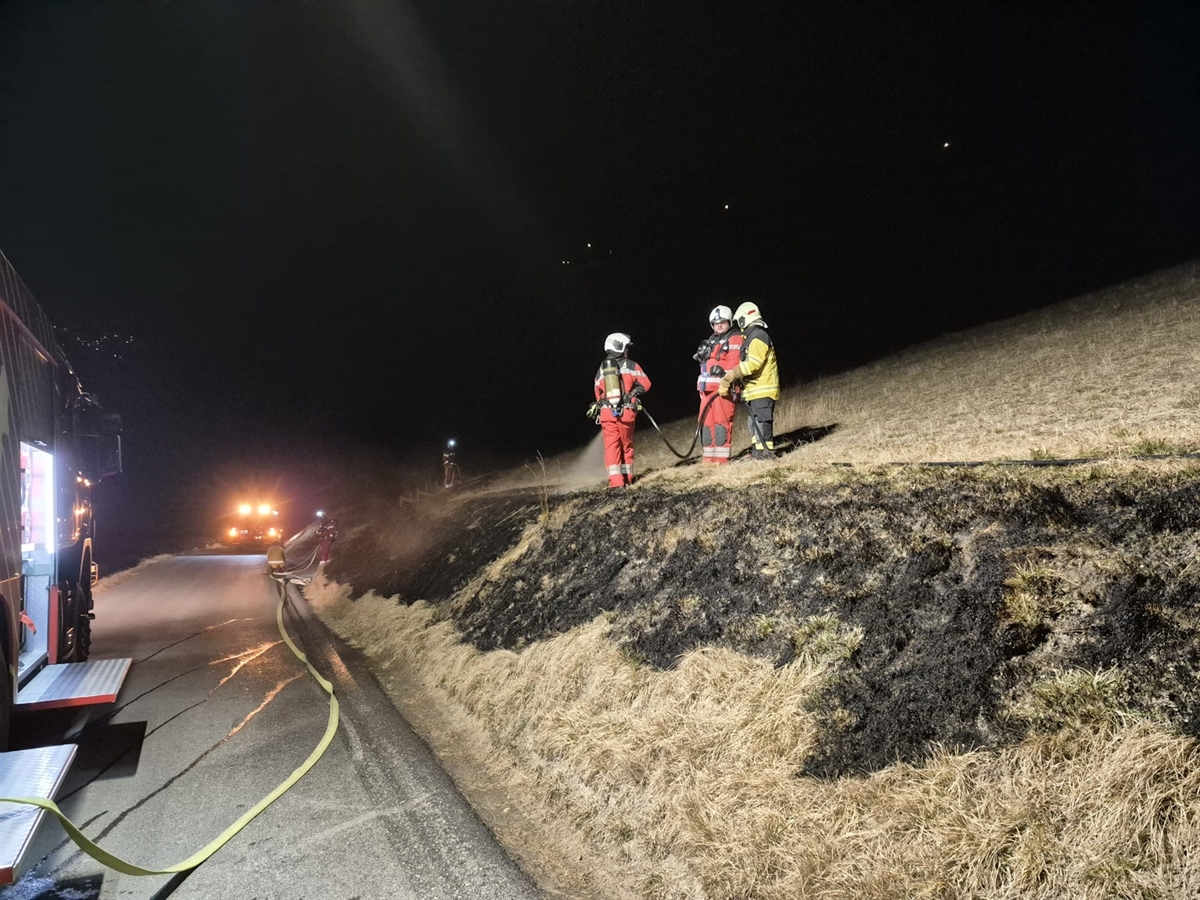 Rechtsseitig der Strasse die trockene und auf Teilen verbrannte Wiesenböschung. Einige Feuerwehrleute im Einsatz. Auf der Strasse ein Feuerwehrfahrzeug.