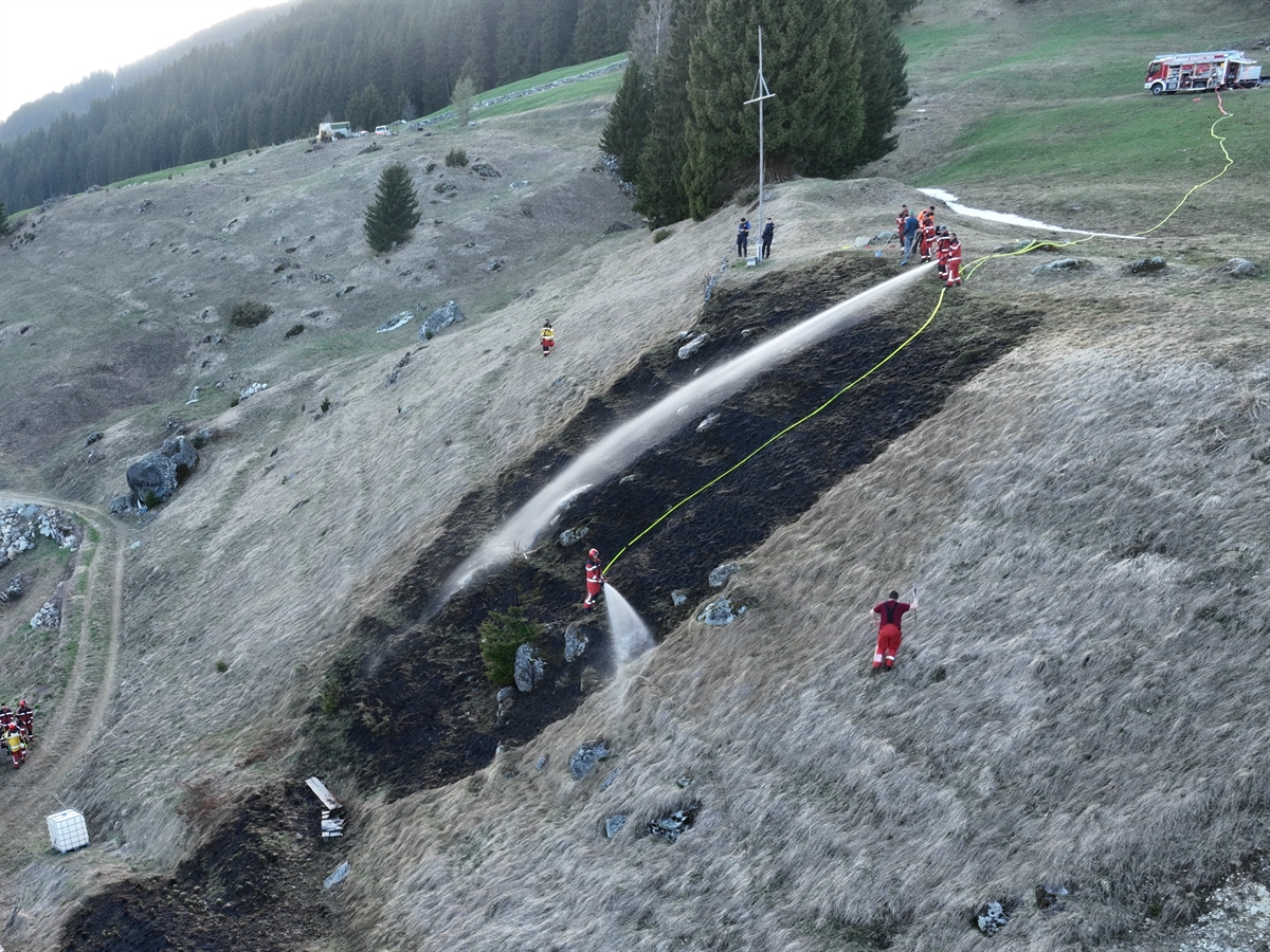 Abgebranntes Gras und Baum aus der Luft aufgenommen