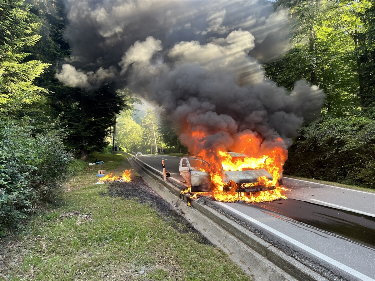 Das Auto in Vollbrand. Links neben dem brennenden Auto liegt Gepäck im Wiesland