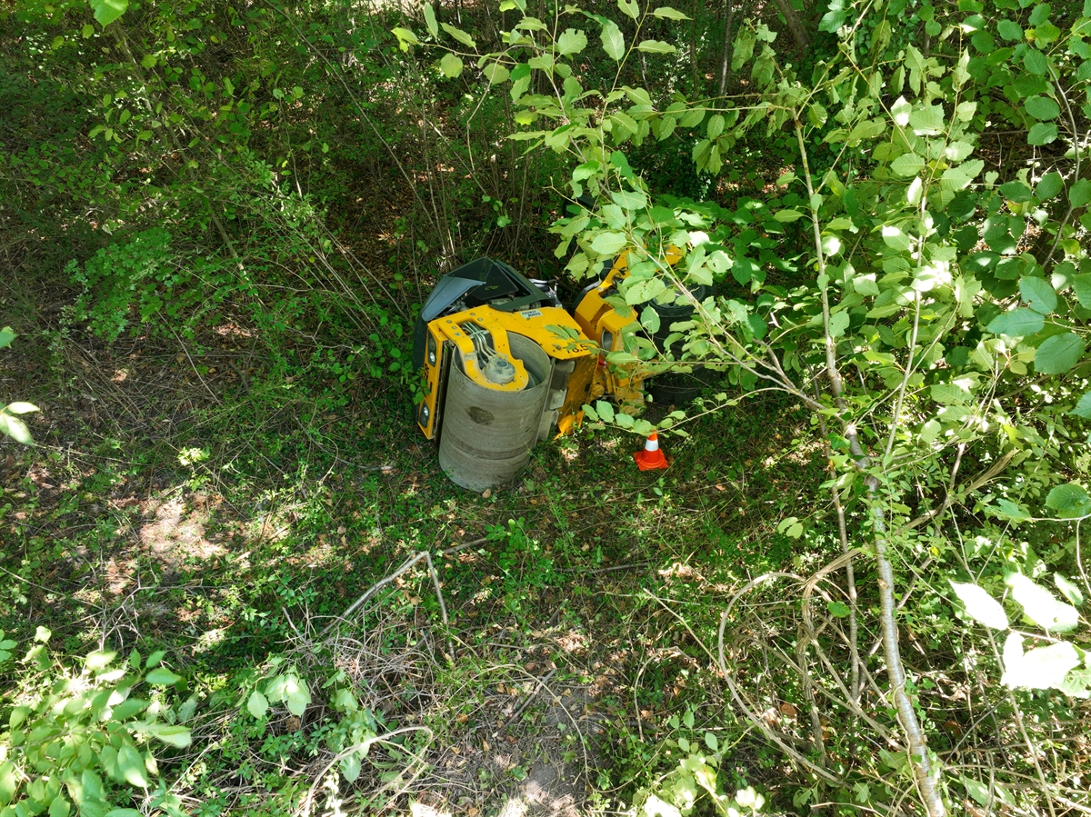 Die Walze auf der Seite liegend im Gebüsch.