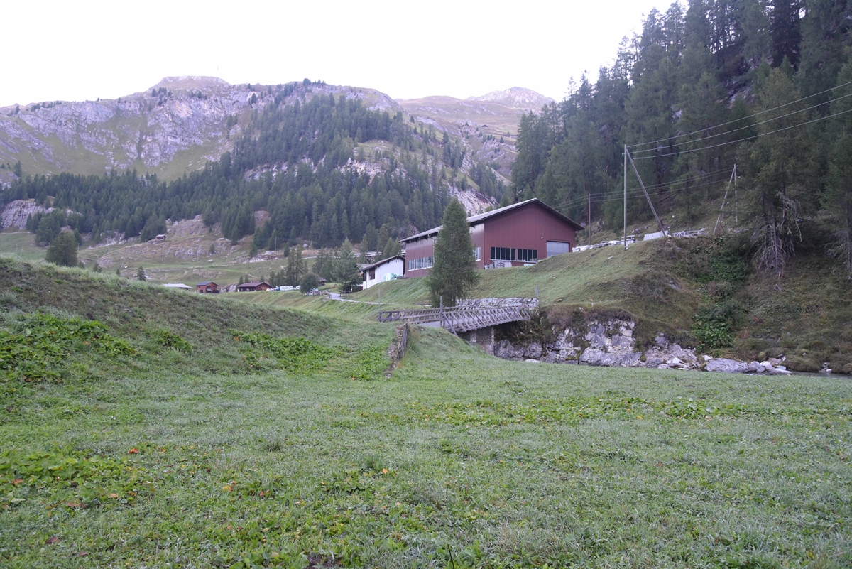 Wiese mit Stall im Hintergrund