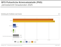 maletg da cuverta da la statistica criminala