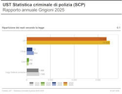 Cover statistica criminala