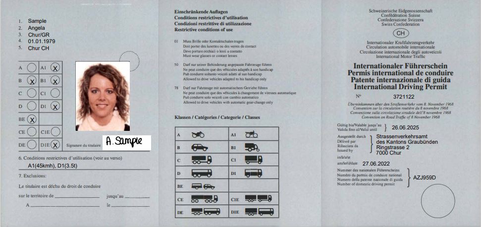 Internationaler Führerschein