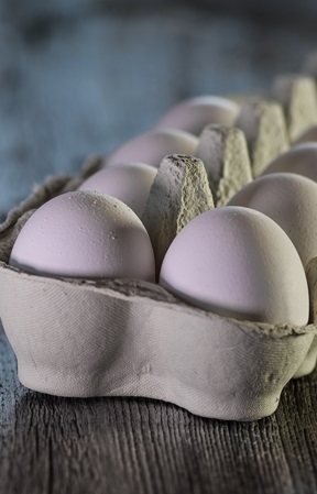 Begrüssungsbild Frühling Eier