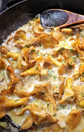 Begrüssungsbild Herbst Eierschwaemmli