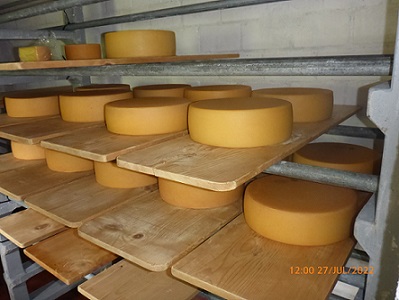 Qualität von Berg- und Alpkäse geprüft