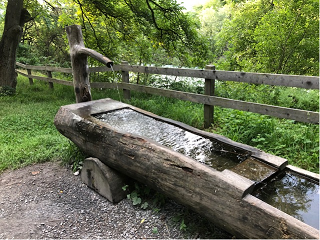 Wasser, das fliesst, ist immer frisch?