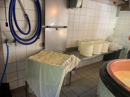 Prozesshygiene bei der Käsefabrikation