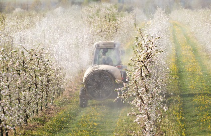 Pestizidrückstände in frischem Obst gefunden