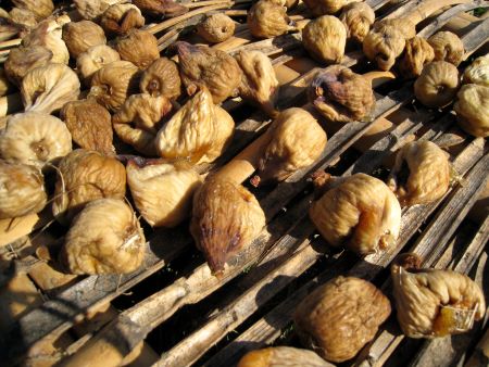 Belastung von Trockenfrüchten mit Mykotoxinen