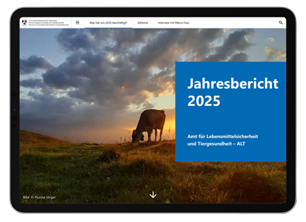 Mockup Jahresbericht 2025