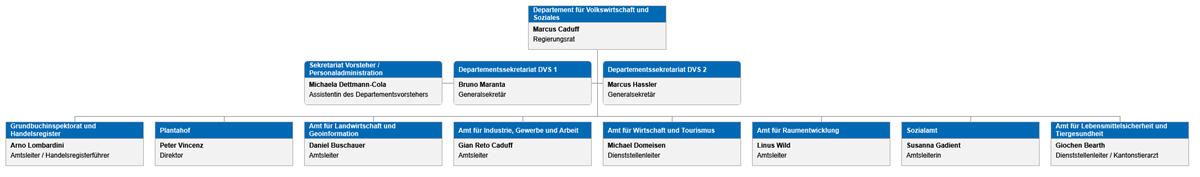 DVS-Org