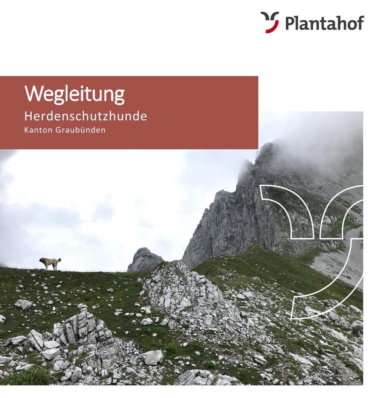 Wegleitung Herdenschutzhunde Graubünden 2025