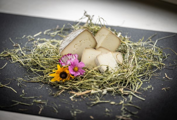 Bündner Käseforum 2026