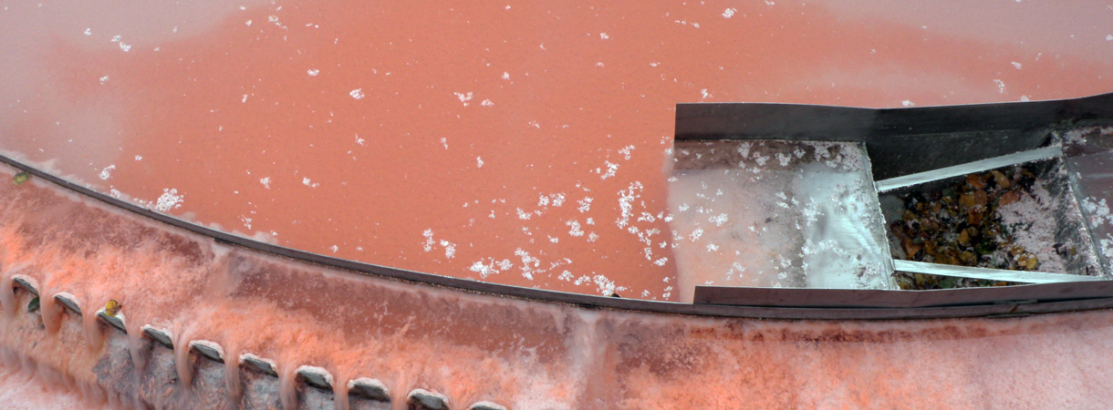Ungewöhnliche Färbung in einem Vorklärbecken einer  Abwasserreinigungsanlage (ARA)