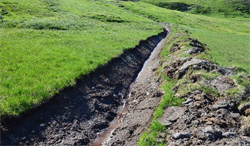Maschinell gefertigter Graben in einem Moor