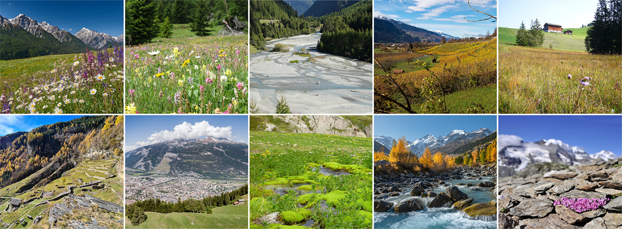 Verschiedene Lebensräume