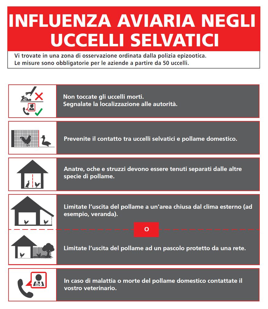 nuovo manifesto USAV