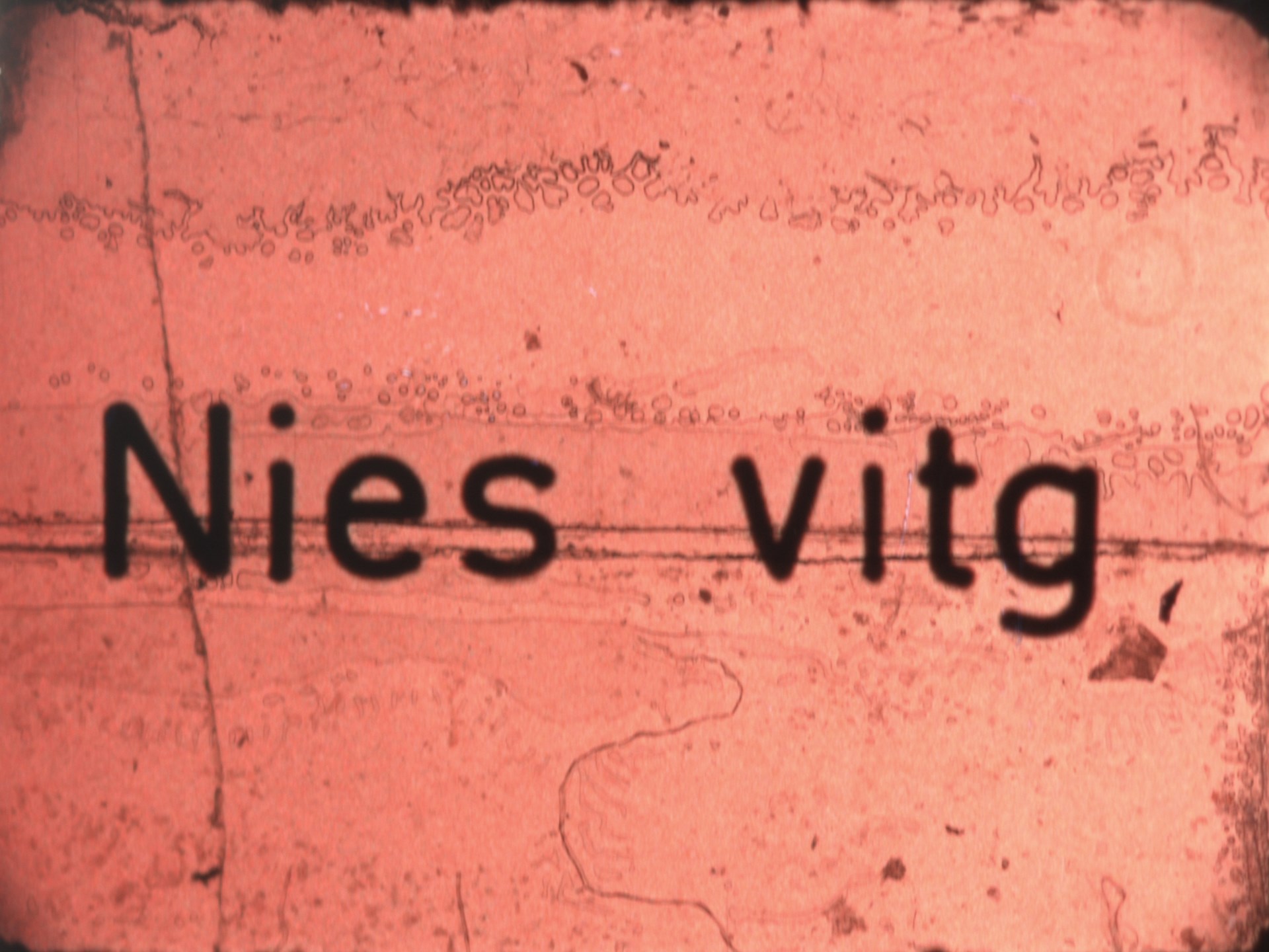 Nies vitg (1968-1973)
