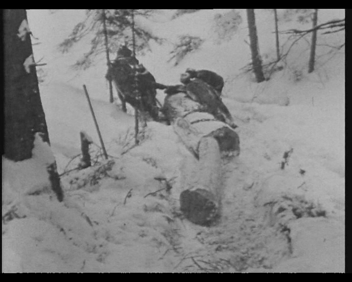 Waldarbeit im Prättigau (1948/1949)
