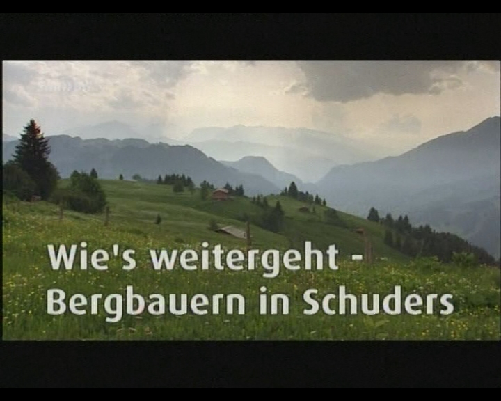 Bergbauern - wie's weitergeht (2011)