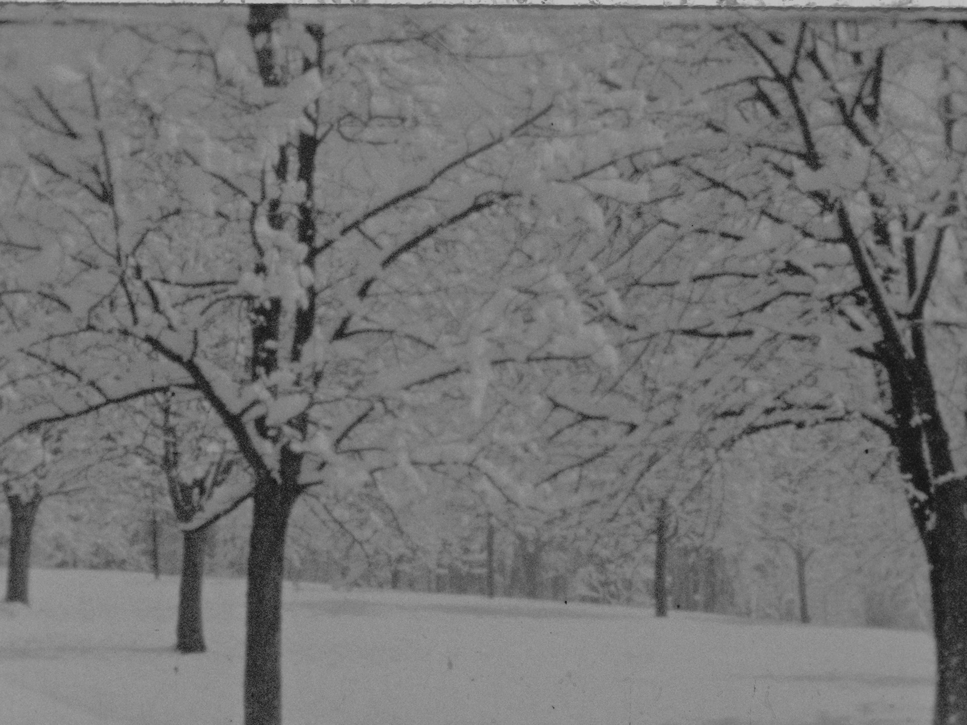 Schnee in Arlesheim 11.3.1932 (1932)