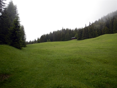 Brienzer Maiensäss Sicht zum Berg