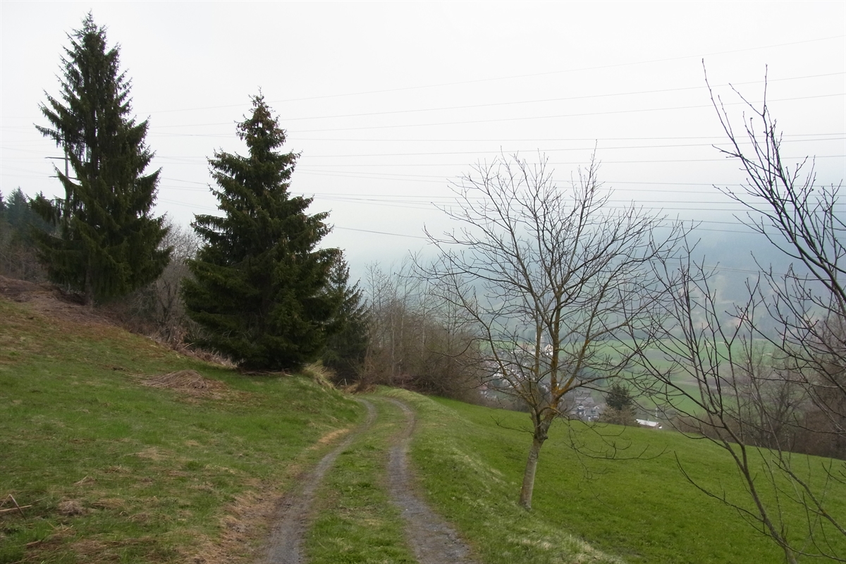 Foto Neuanschluss Sagognerstrasse