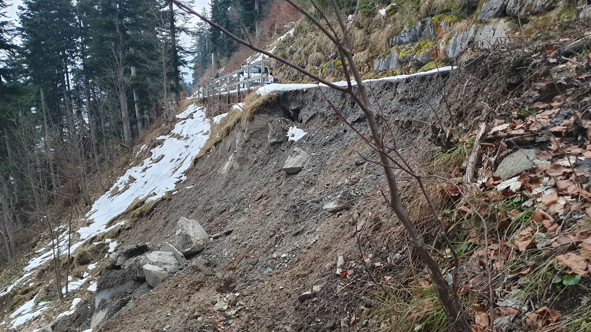 Waldbrandprävention