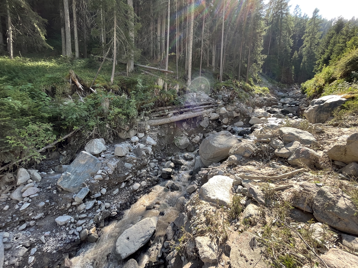 Abbildung Bärentalerbach