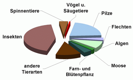 Kreisdiagramm mit Anteilen von Tier- und Pflanzenarten