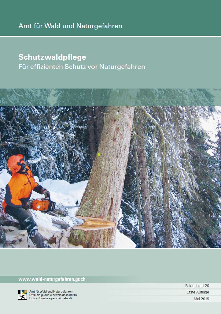 Neues Faktenblatt zur Schutzwaldpflege