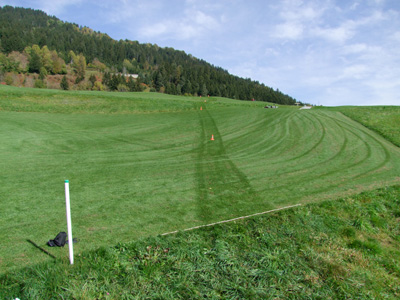 Über diese Grünfläche fuhr der Verunfallte hinunter bis er ins hohe Gras (unterer Bildrand) geriet