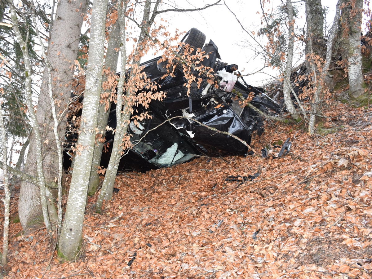 Aufnahme von unten auf das total beschädigte an einer Baumgruppe liegende Auto.