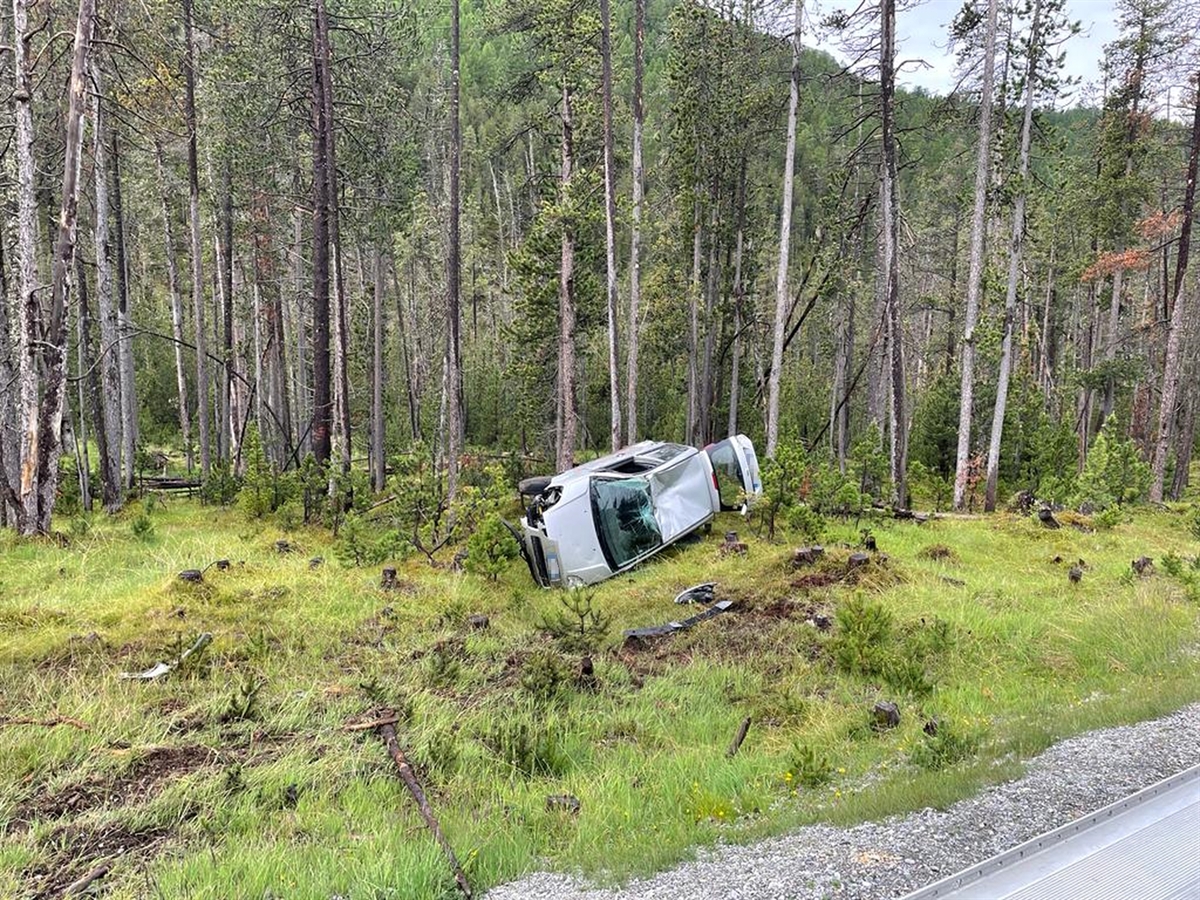 Das auf der Seite liegende graue Auto am Waldrand im Nationalpark.