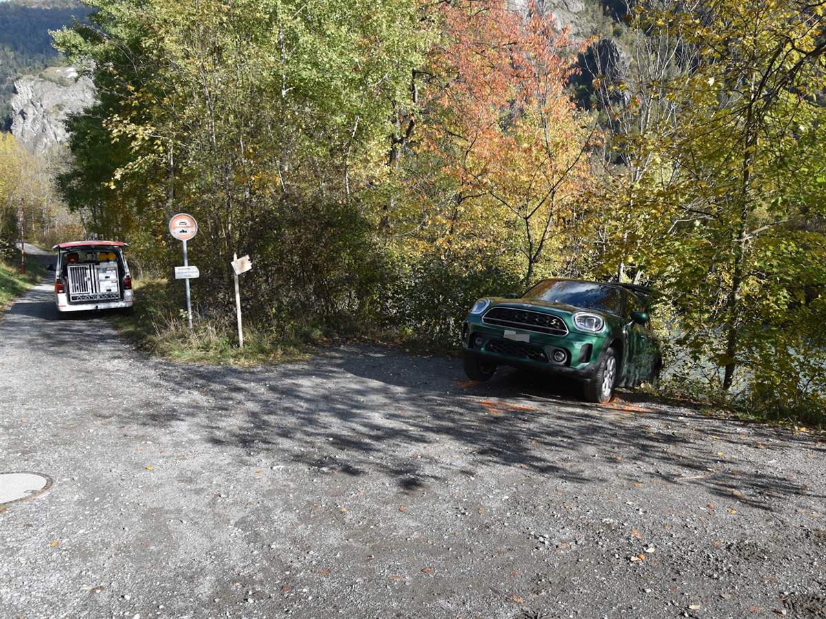 Das Auto steckt Rückwärts auf der Böschungskante umgeben von herbstlich eingefärbten Bäumen. Auf dem Feldweg steht ein Patrouillenfahrzeug der Polizei.