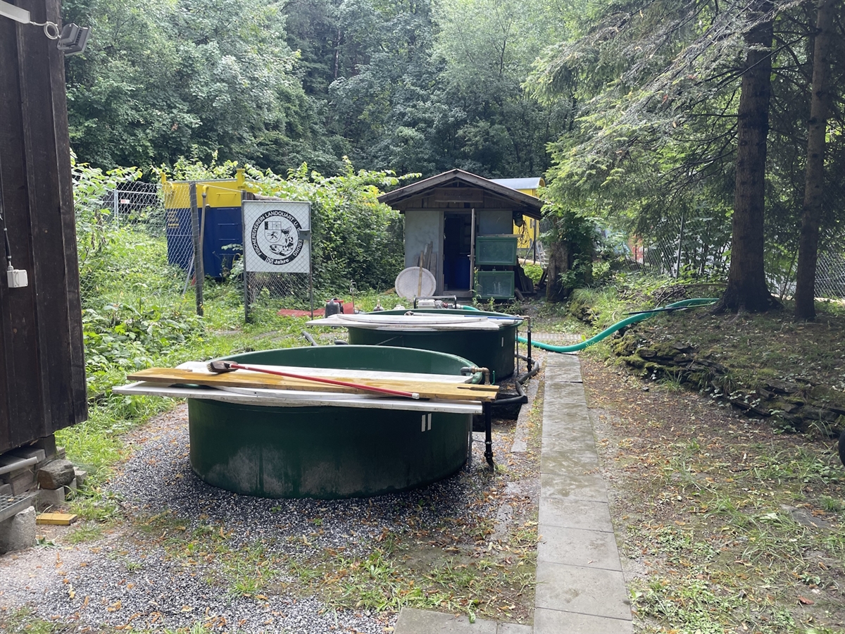 Die Fischaufzuchtbecken sowie ein Geräteschuppen. Umsäumt von Wald.