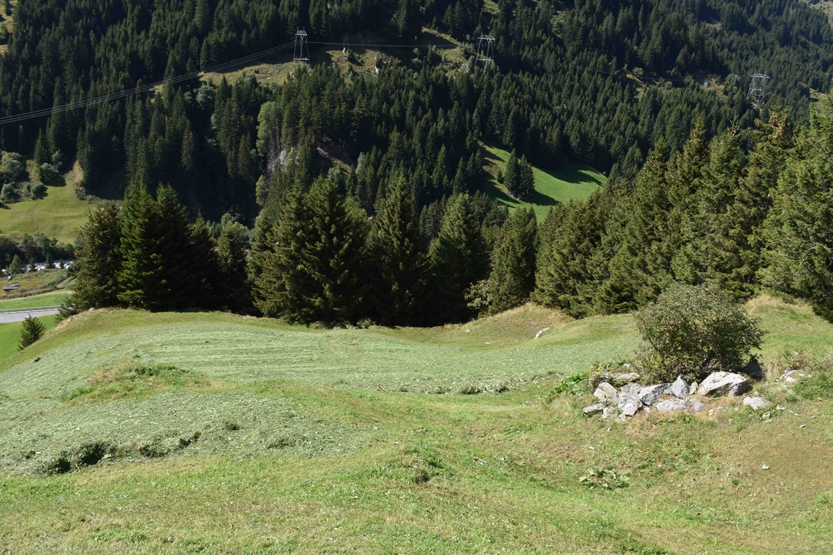 Blick von oben über den Abhang bis zur Kantonsstrasse