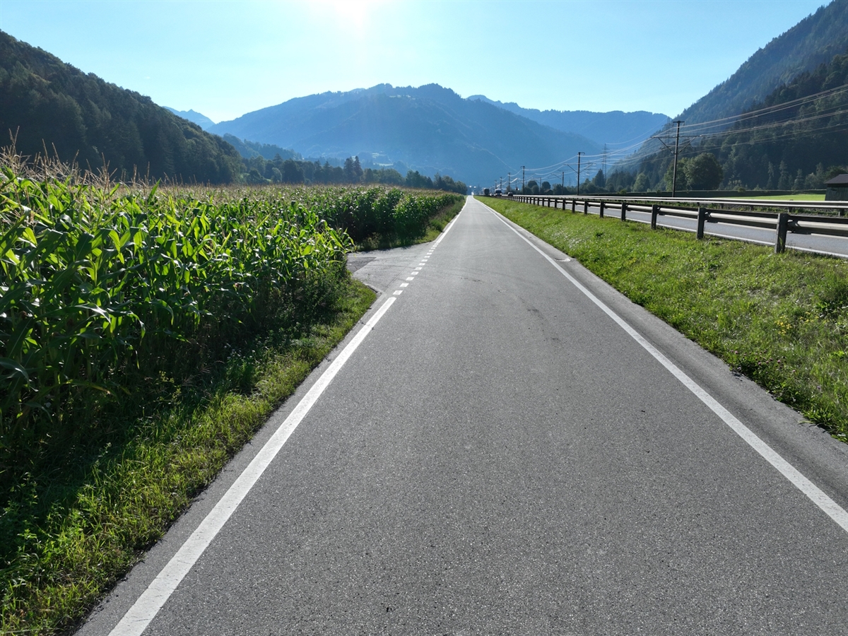 Die Nebenstrasse wird auf der linken Seite durch Maisfelder begrenzt. Rechts neben der Fahrbahn verläuft die N28. Blauer Himmel rundet das farbenfrohe Bild ab.