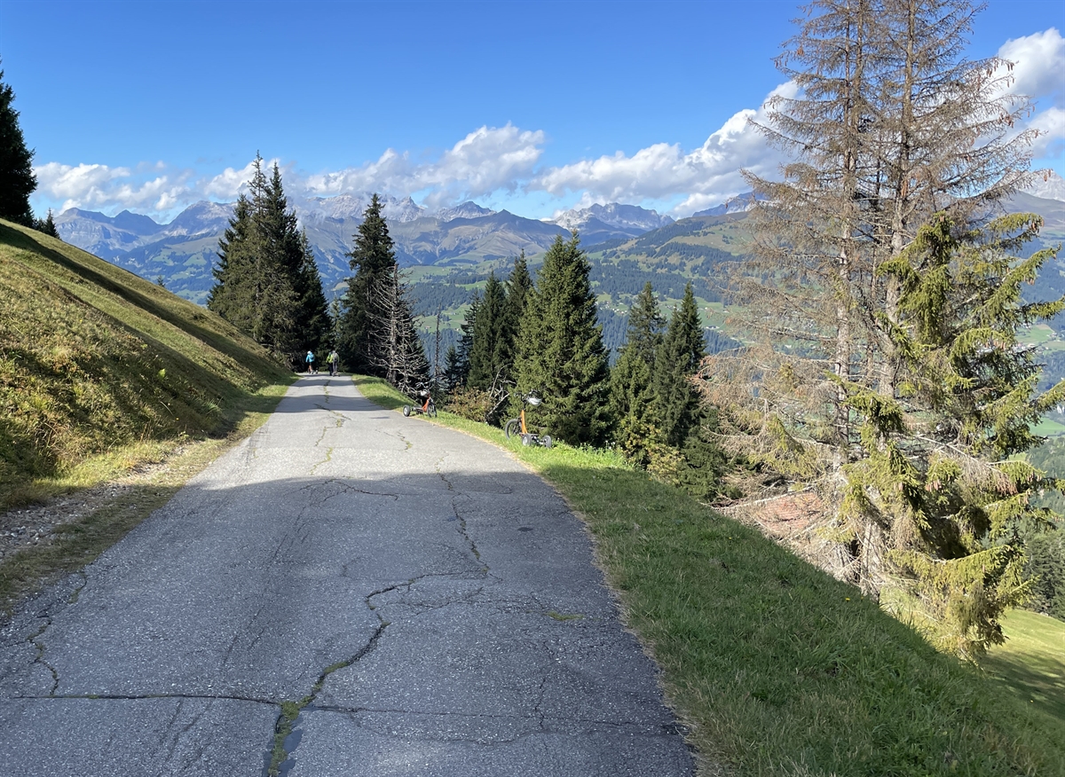 geteerte schmale Strasse mit Bäumen und Bergkulisse
