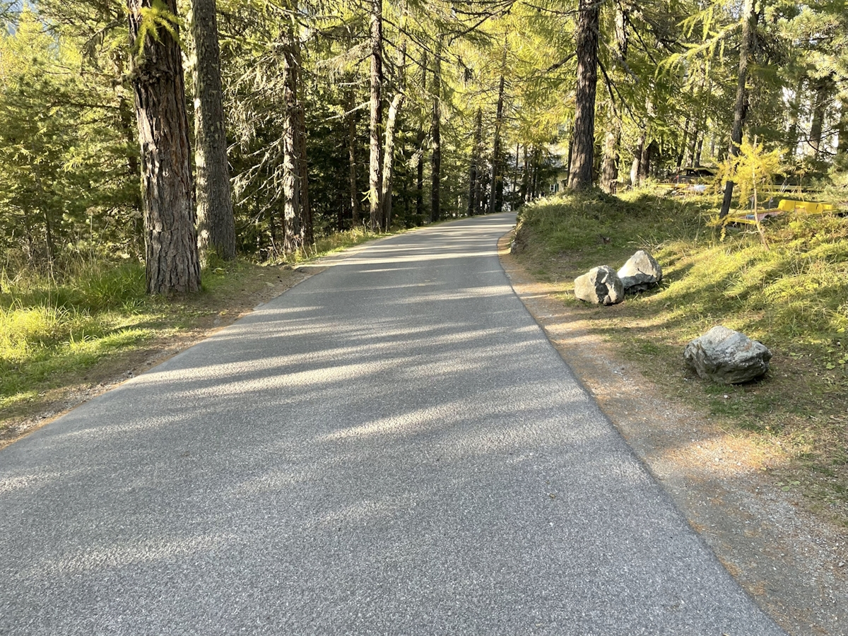 Die einspurige Via da Fex mitten im Wald bei herrlicher Herbststimmung.