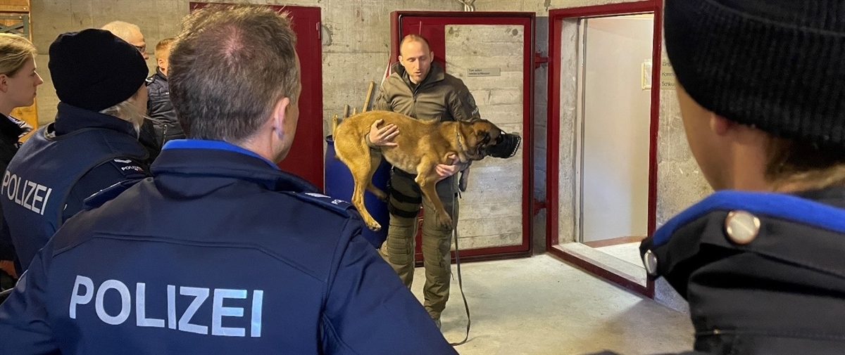 Hund auf den Armen des Chefs Hundeführer